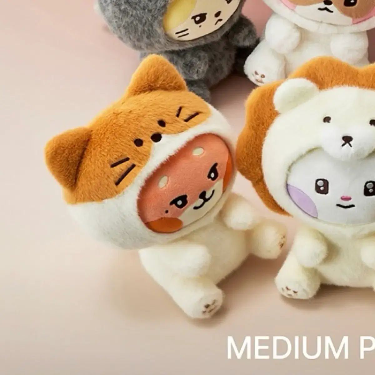 ZEROBASEONE(ゼロベースワン・ZB1・ゼベワン) ゼロニ チュニニ ソク