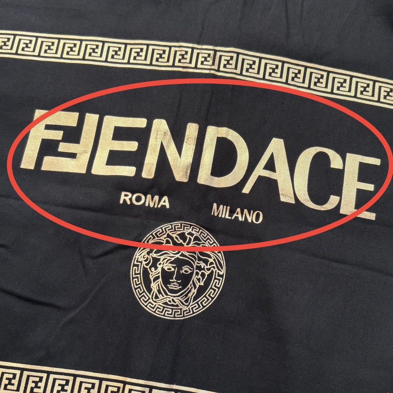 FENDACE フェンダーチェ ROMA MILANO ガーメントカバー セット 保存袋
