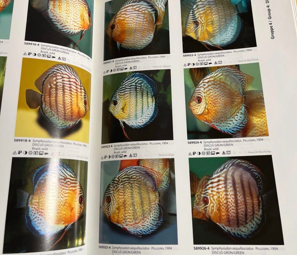Aqualog 南米シクリッドⅣ ディスカス スカラレ 写真資料本 熱帯魚