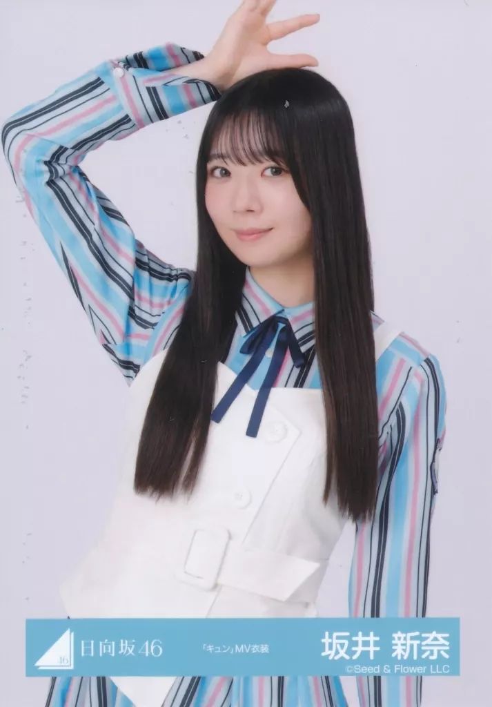 中古】生写真(坂道シリーズ) 日向坂46/坂井新奈/上半身/日向坂46