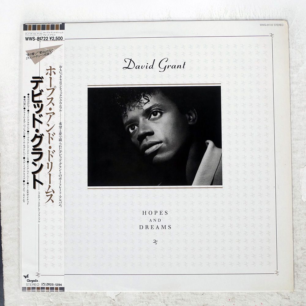 帯 国内盤 DAVID GRANT/HOPES AND DREAMS/CHRYSALIS WWS81722 LP