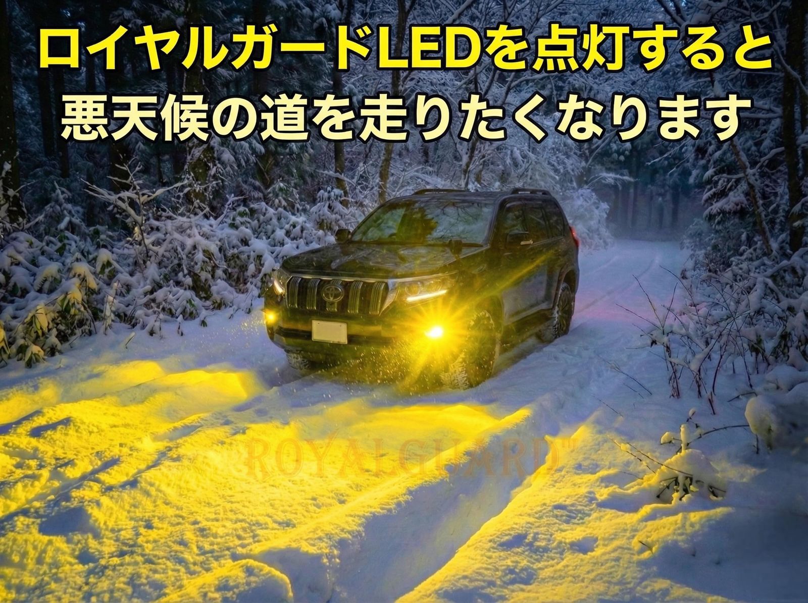 ロイヤルガード オメガ LED フォグランプ イエロー H11 H8 H16 爆光