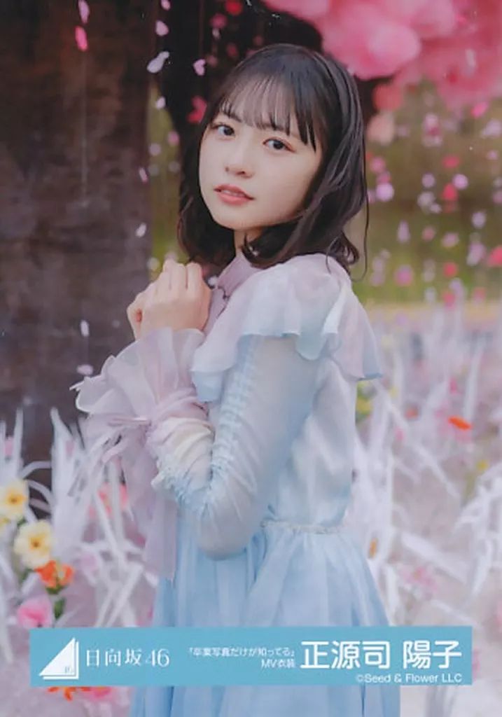 中古】生写真(乃木坂46) 正源司陽子/上半身・桜/日向坂46ランダム生