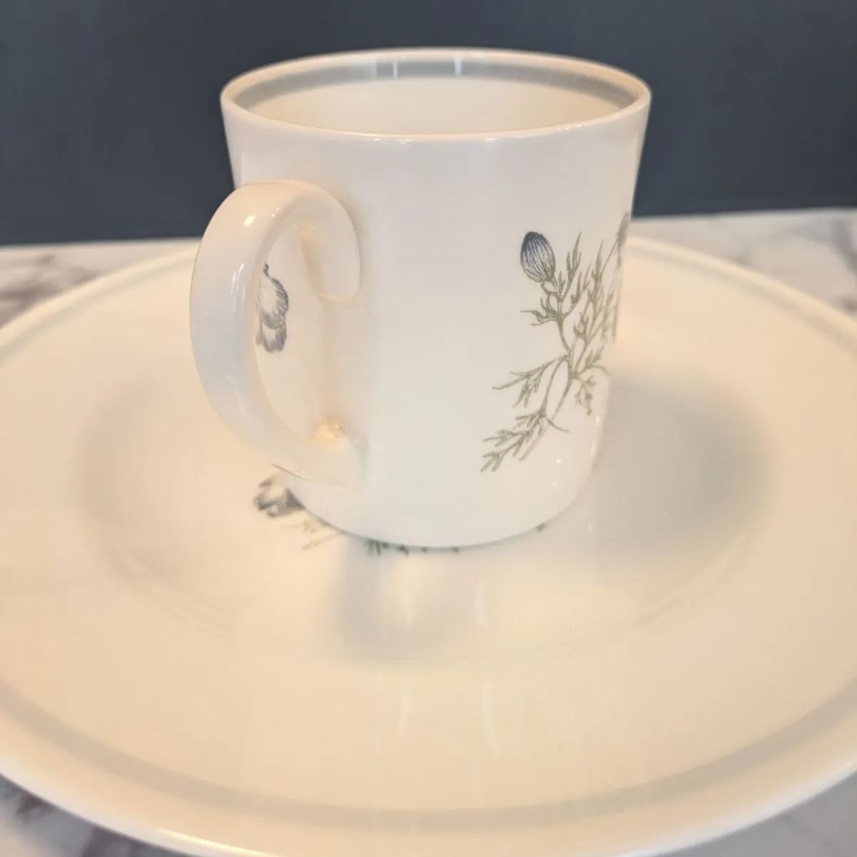 ウエッジウッド スージークーパー グレンミスト カップ＆プレート