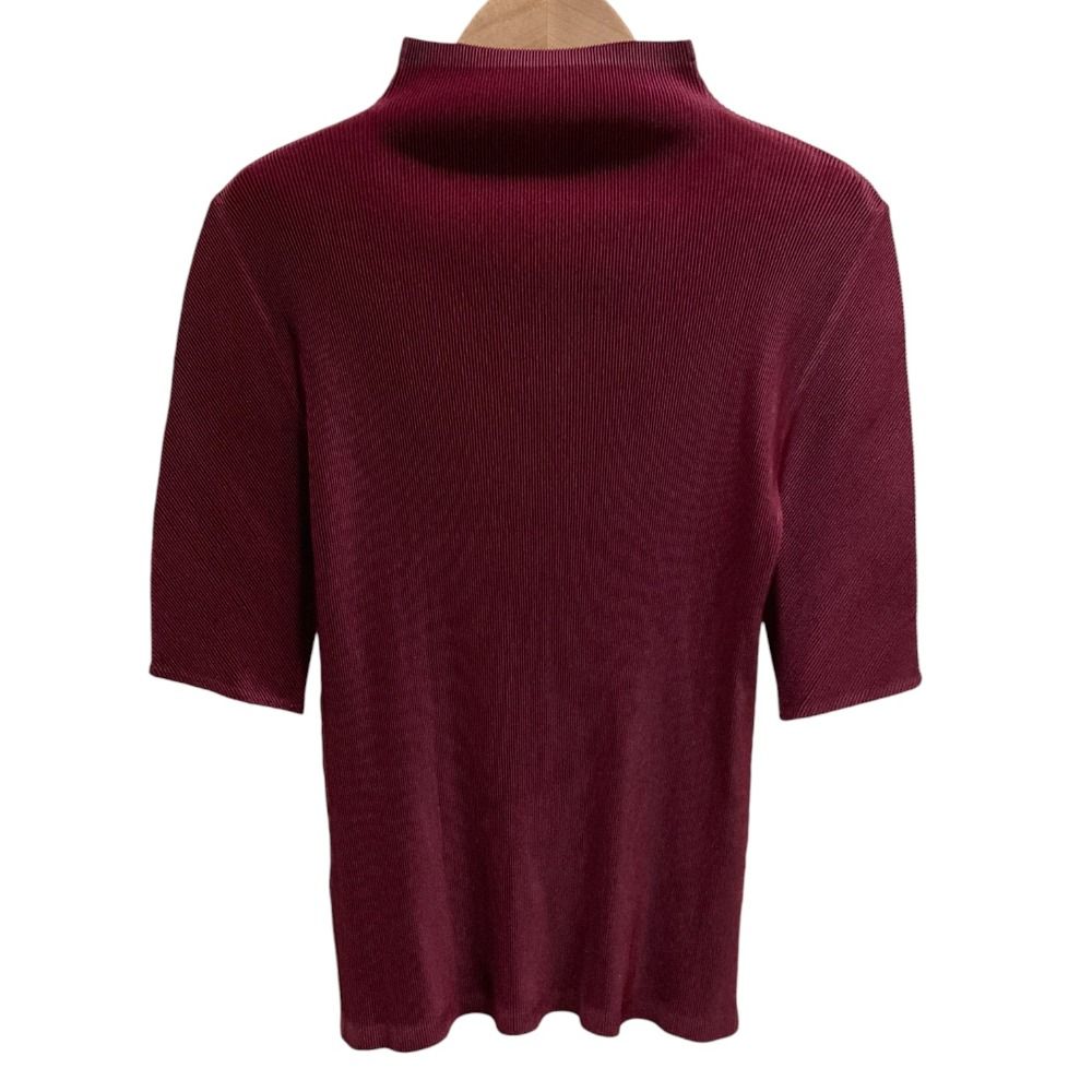 プリーツプリーズISSEYMIYAKE　ハイネックカットソー sizeF Issey Miyake プリーツプリーズ ハイネックカットソー イッセイミヤケ