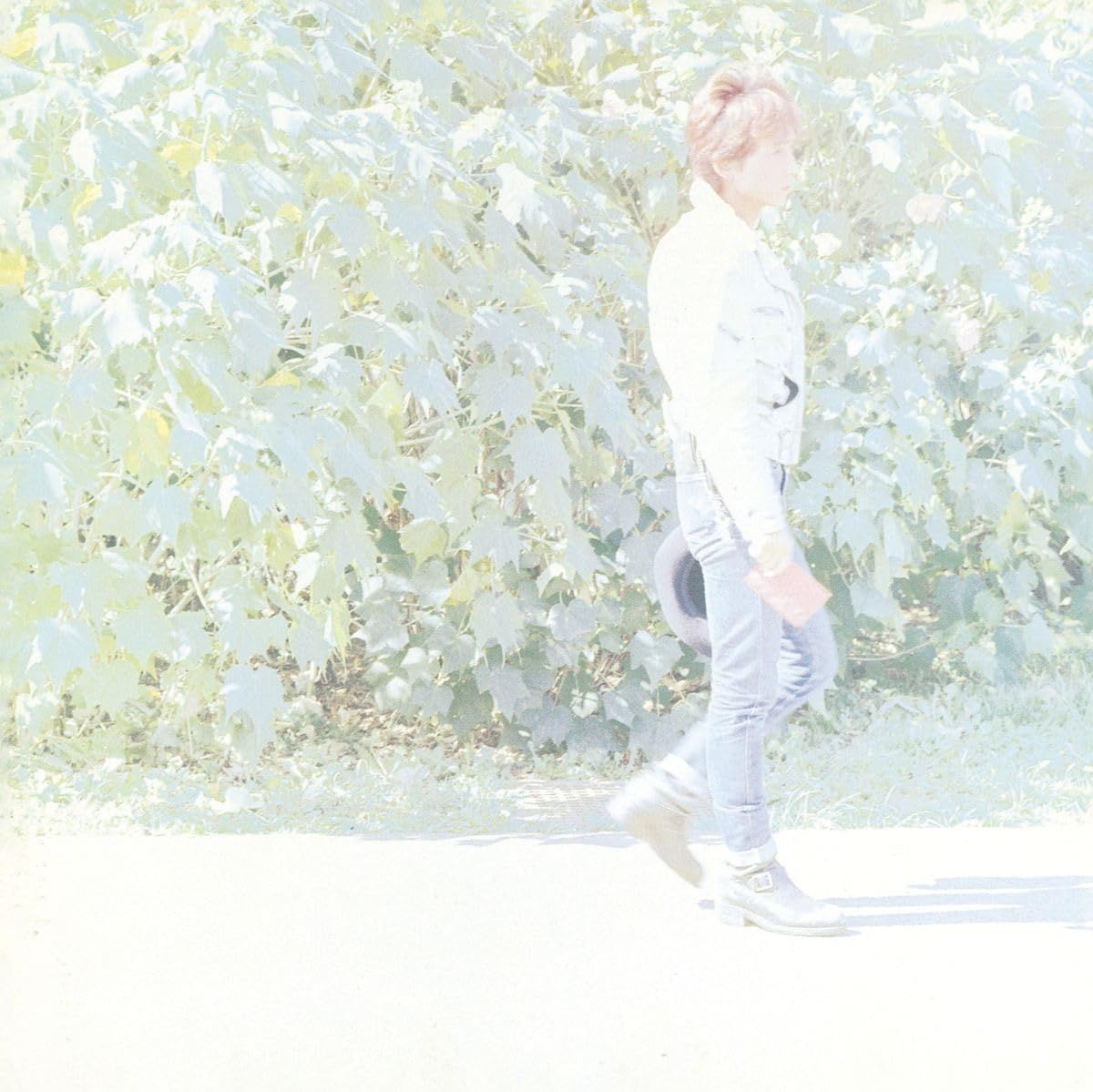 METAL MOON 生産 盤 - BLANKEY JET CITY Analog 品