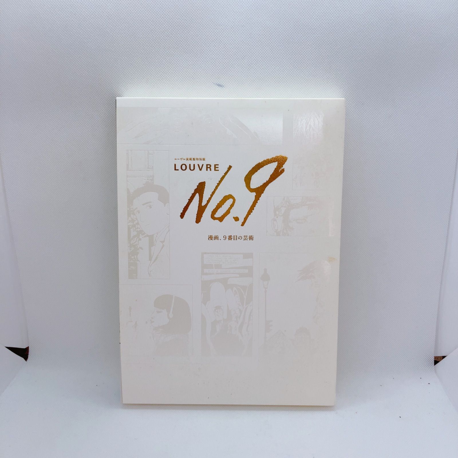 ルーブル美術書 71rcvTLUf-L._AC_UF350,