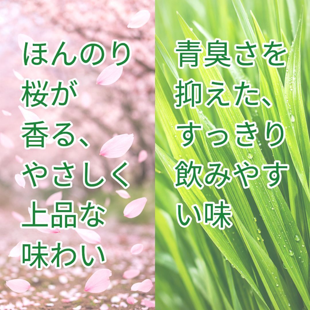 さくら酵素乳酸菌青汁 3g×30包 x5個 【公式通販】