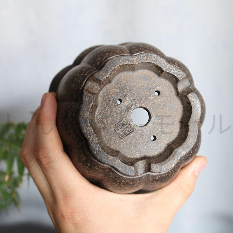 蓮華盆 紫砂盆鉢 盆栽鉢 植木鉢 小品盆栽鉢 大品盆栽鉢 - メルカリ