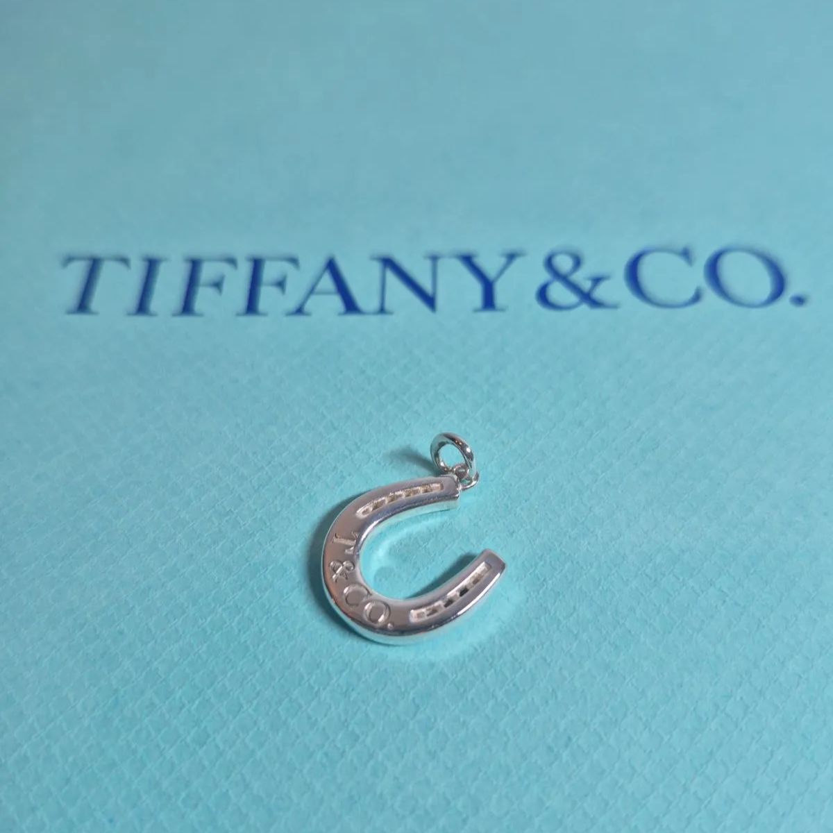 希少 廃盤 ティファニー ネックレス 馬蹄 ホースシュー シルバー 925
