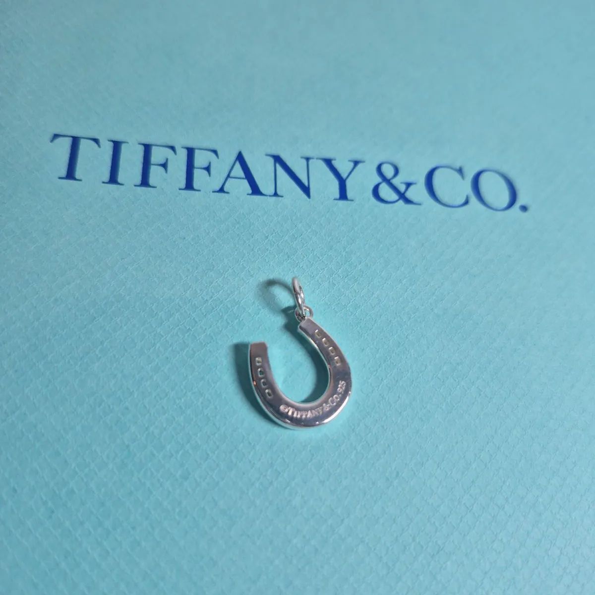 希少 廃盤 ティファニー ネックレス 馬蹄 ホースシュー シルバー 925