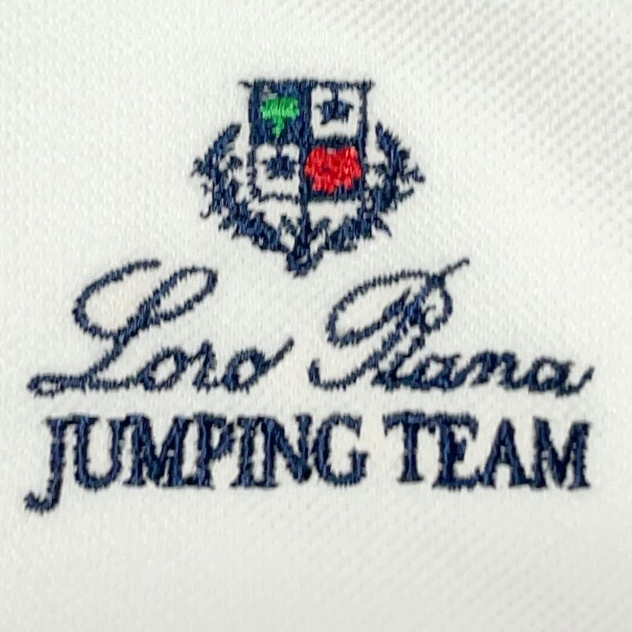 ロロピアーナ Loro Piana イタリア製 刺繍ロゴ バックプリント