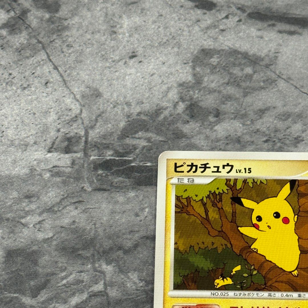 ポケモンカード　構築ハーフデッキ　攻めのラムパルド　DP ラムパルド　未開封 構築ハーフデッキ 攻めのラムパルド 未開封 ポケモンカード