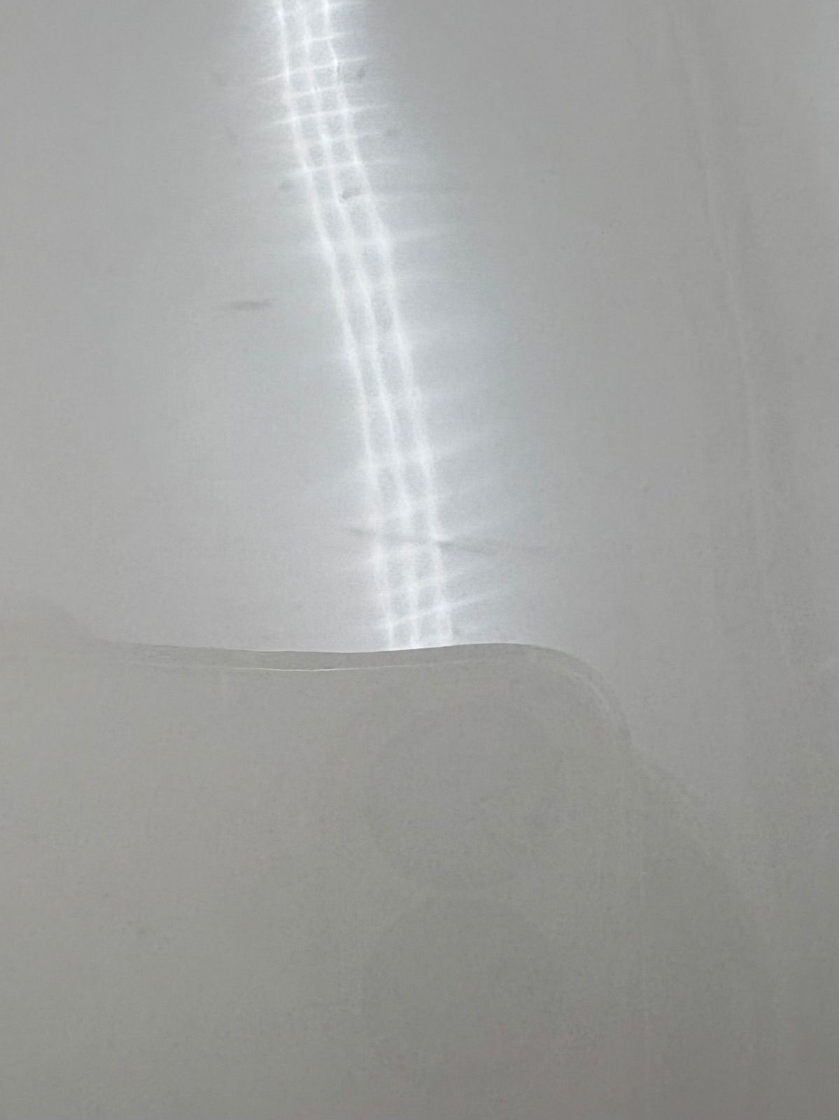  LENOX レノックス X 94 ゴールデンピーコック ディナープレート 手描き 金彩 26.5 cm プレート セット 皿 食器