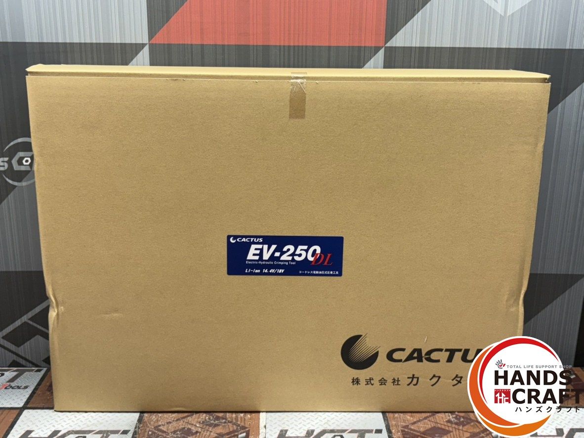 〇カクタス CACTUS