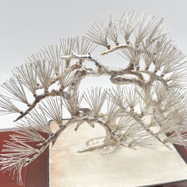 美品 光則 純銀製 大淵武則 盆栽 松 19cm 箱入り 美品 光則 純銀製 大淵武則 盆栽 松 19cm 箱入り