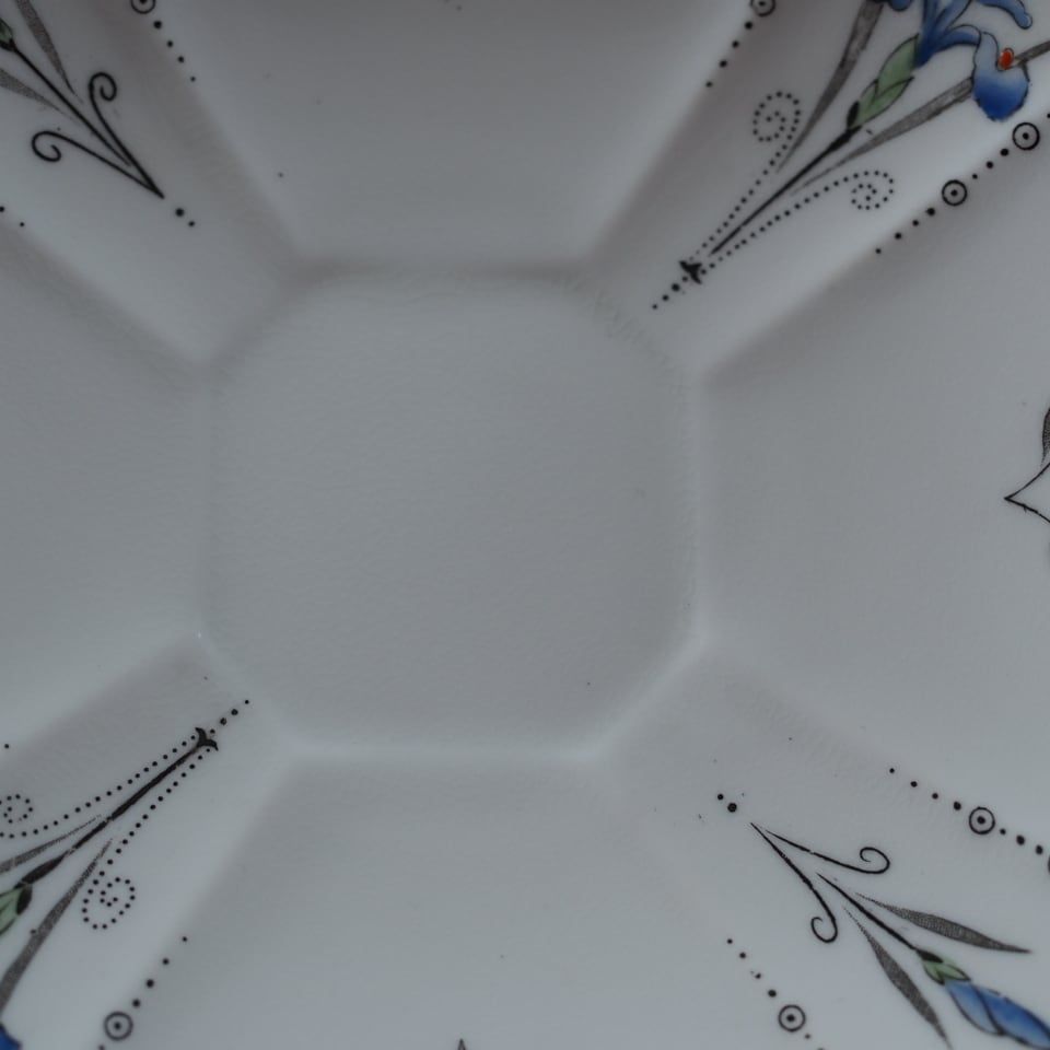 Shelley アイリス