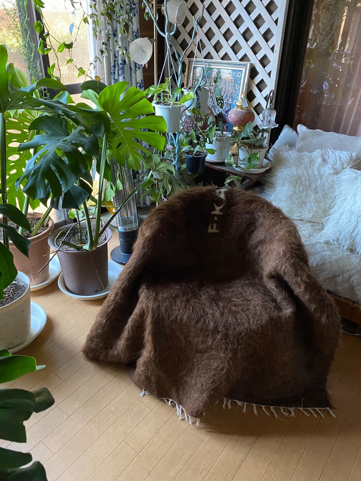 貴重なチョコレート茶の古い極上のアンゴラヤギのモヘア織られた