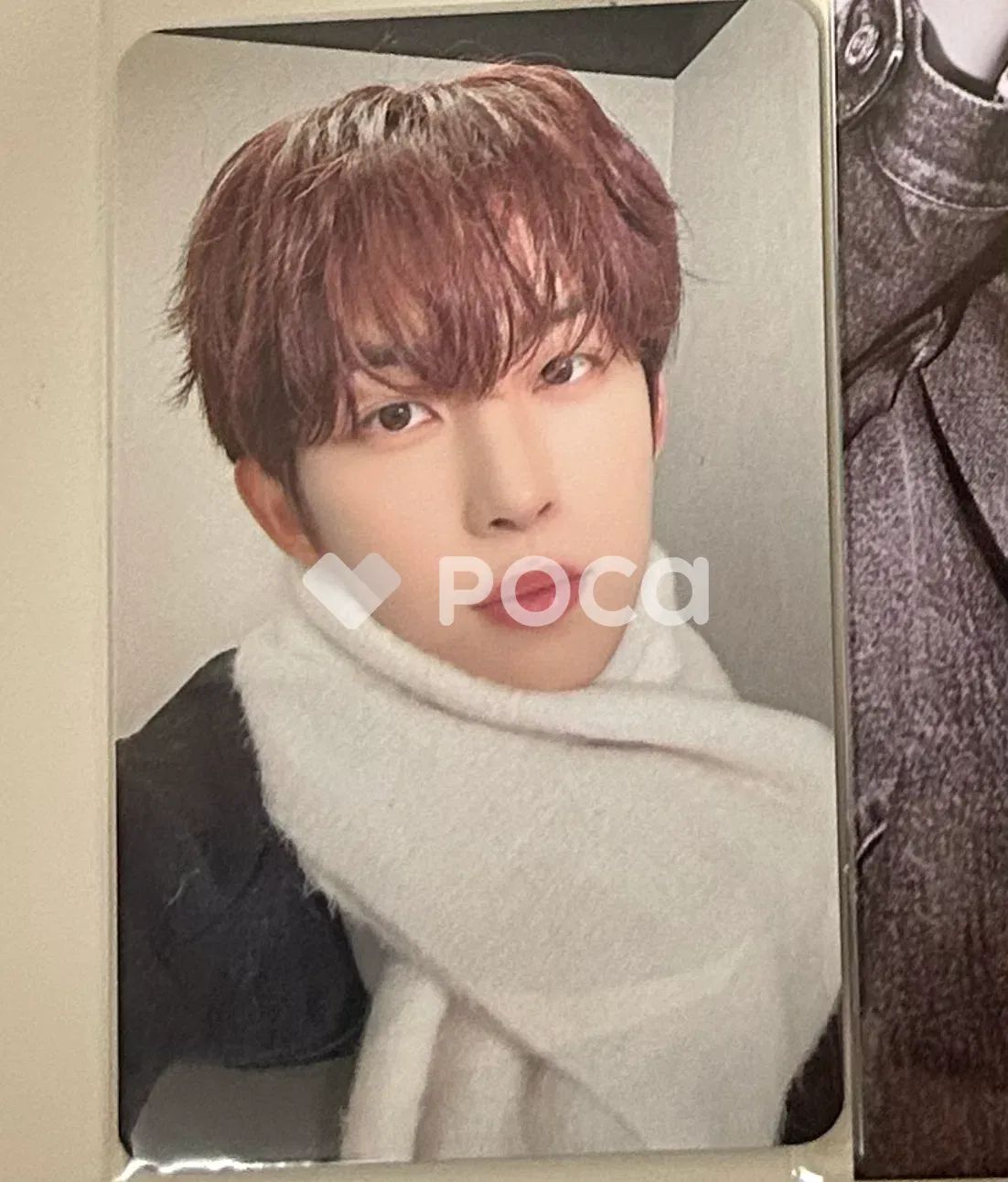 ALPHA DRIVE ONE コン ウ EUPHORIA STAR ROAD ver Makestar