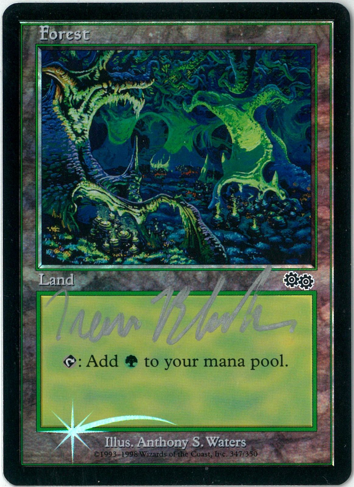 プロモ/FOIL/MTG/英語版/森/Forest/アリーナ/サインド/1999/ウルザズ プロモ/FOIL/MTG/英語版/森/Forest/アリーナ/サインド/1999/ウルザズ
