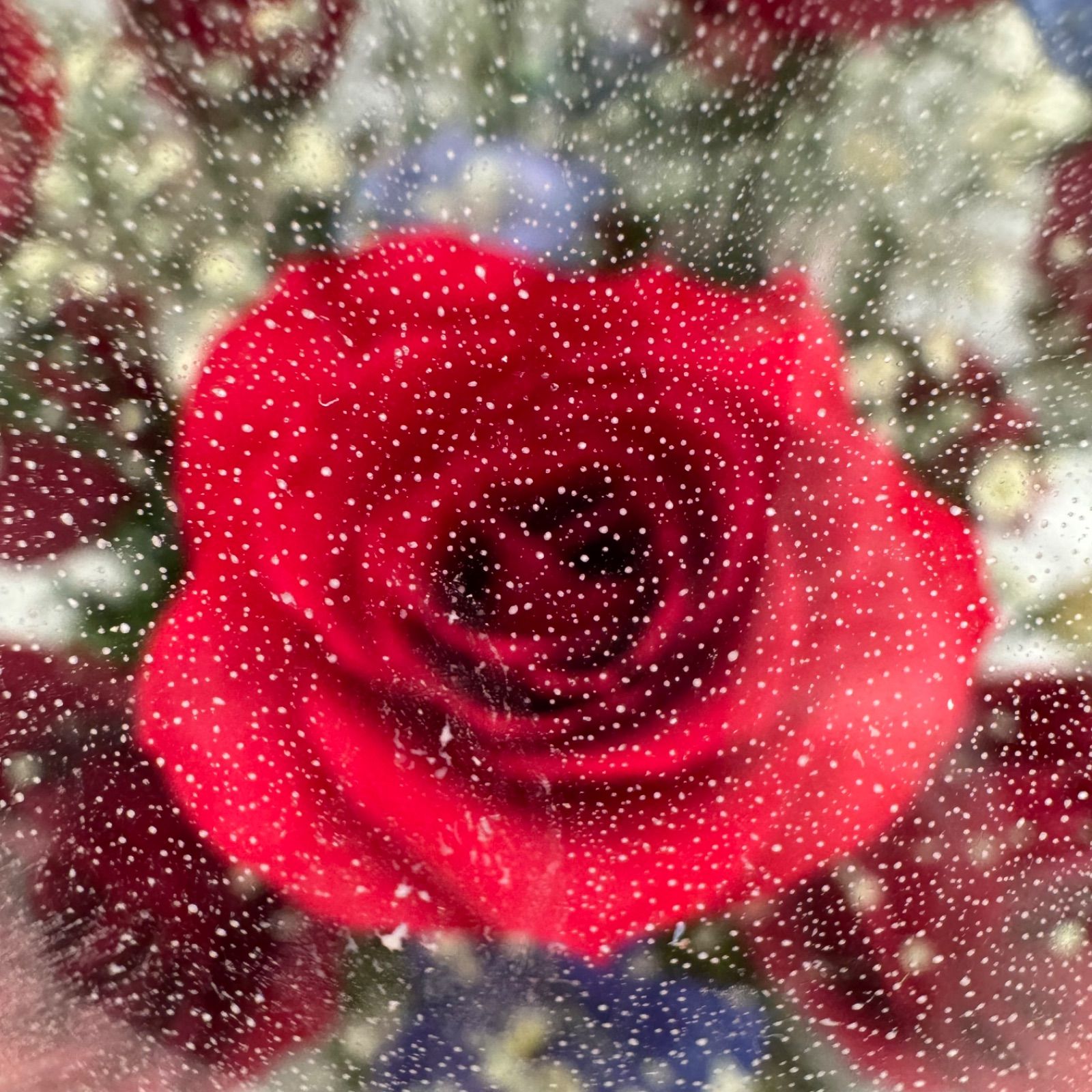 DA134 プリザーブドフラワー ガラスドーム レンデフロール - メルカリ