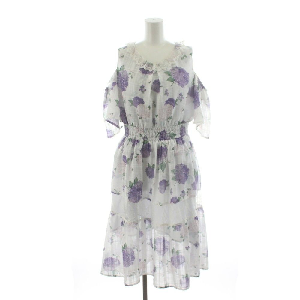 イザベラミズアオ ♂ Graellsia 注文 isabellae