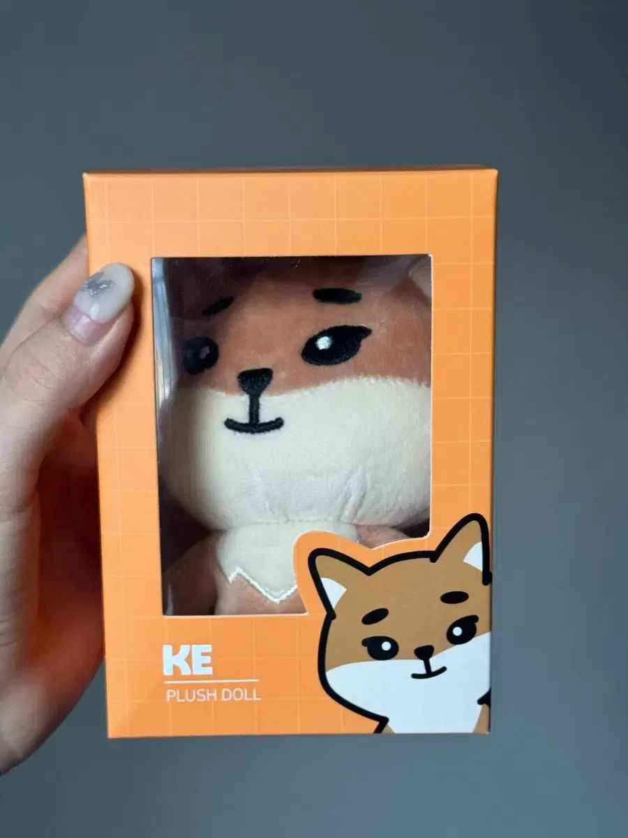 DAY6 ヨンケイ　まとめ売り DAY6(デイシックス) デニマルズ(DENIMALZ) 20 ケ ヨンケイ(Young K