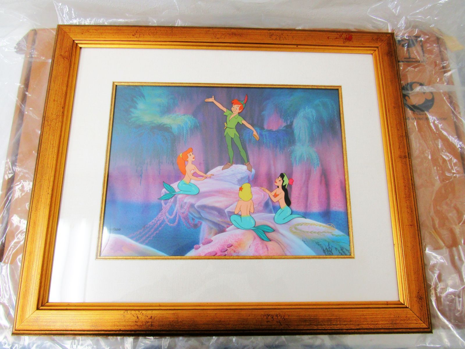 ディズニー セル画 ポカホンタス 世界限定500 証明書(COA)付き 楽天市場】【取寄せ】 ディズニー Disney US公式商品 ポカホンタス