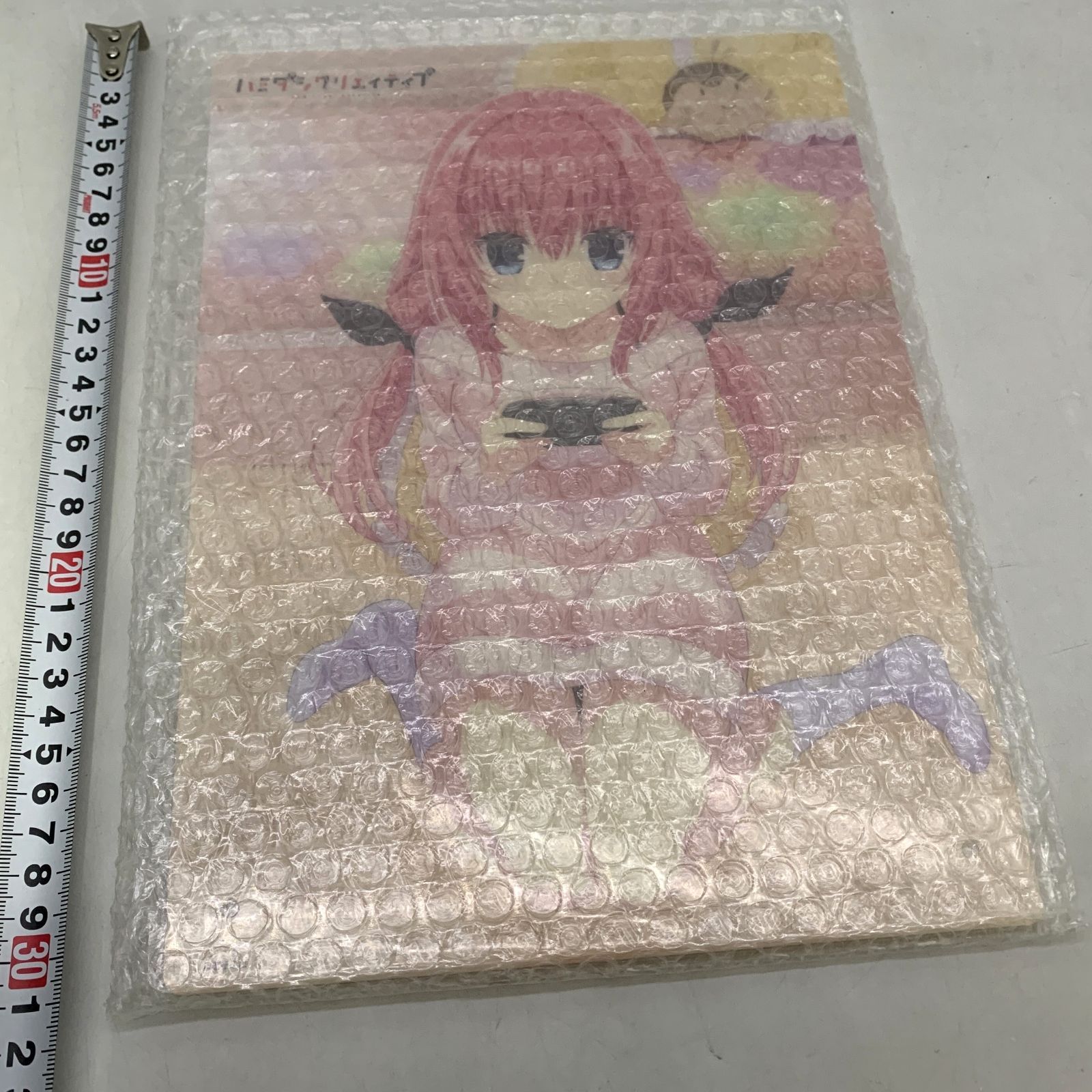 レ*ァ様 【新品】ハミダシクリエイティブ A4サイズアクリルパネル 5枚