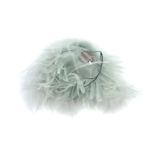 インドレス INDRESS 23AW Ostrich feacher broach アパルトモン取扱い