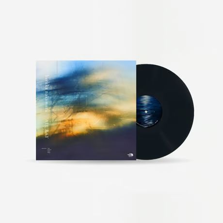 haruka nakamura / ALL RAY [LP] - メルカリ
