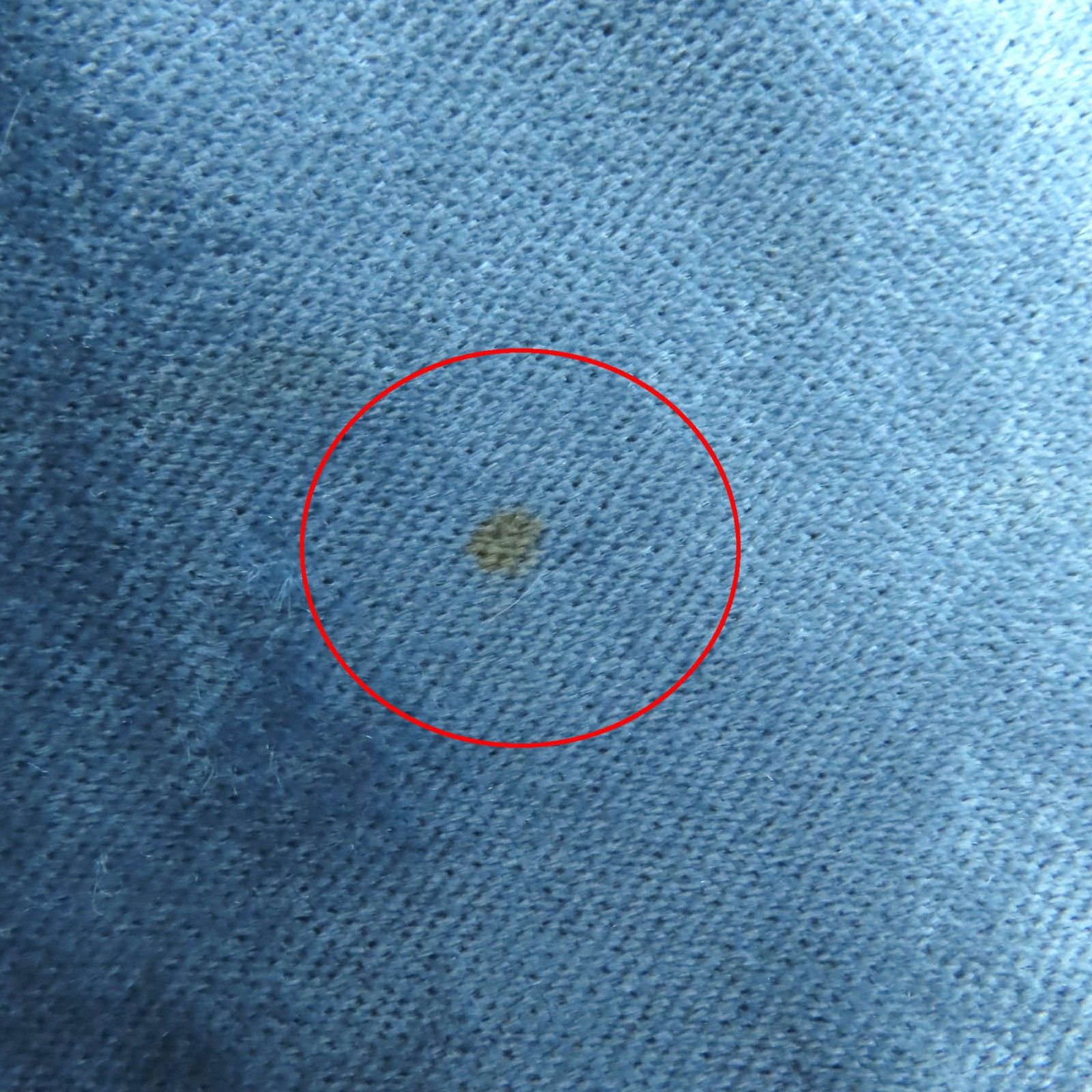 極美品◇Brunello Cucinelli ブルネロクチネリ MA088P6477 コットン  