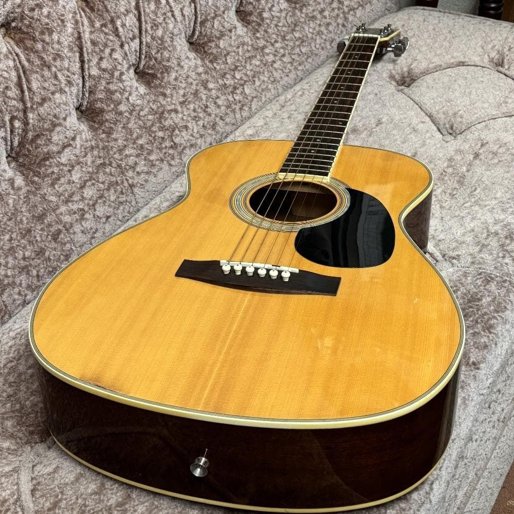 レジェンド Lejend by Aria FG-20N アコギ 新品弦張替済 - メルカリ