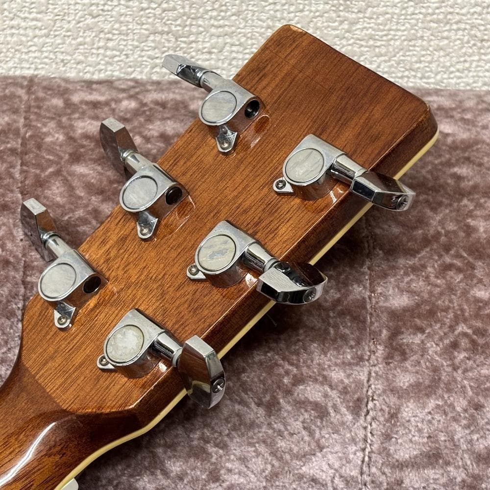 レジェンド Lejend by Aria FG-20N アコギ 新品弦張替済 - メルカリ