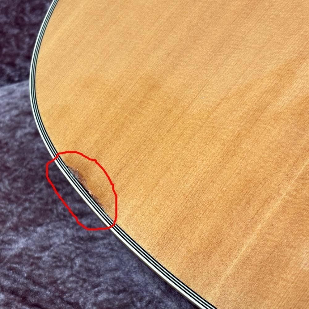 レジェンド Lejend by Aria FG-20N アコギ 新品弦張替済 - メルカリ