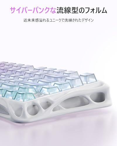  GravaStar K 1 Lite ゲーミングキーボード 透明キーボード 無線 75%レイアウト テンキーレス ホットスワップ対応 ガスケット構造 Bluetooth 5.0|2.4 G|有線接続 透明キーキャップ RGBバックライト 0 bbb 872 b その他 キッチン 食器