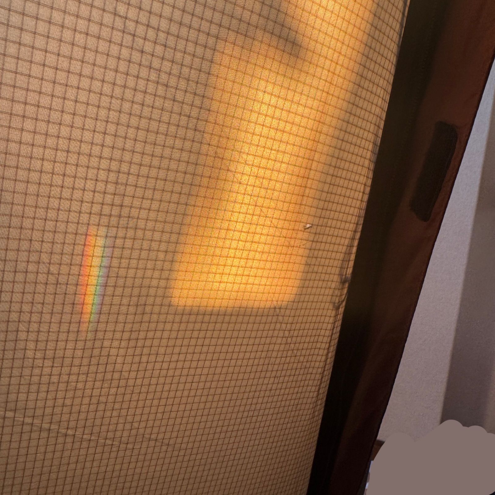 半球状シェルター