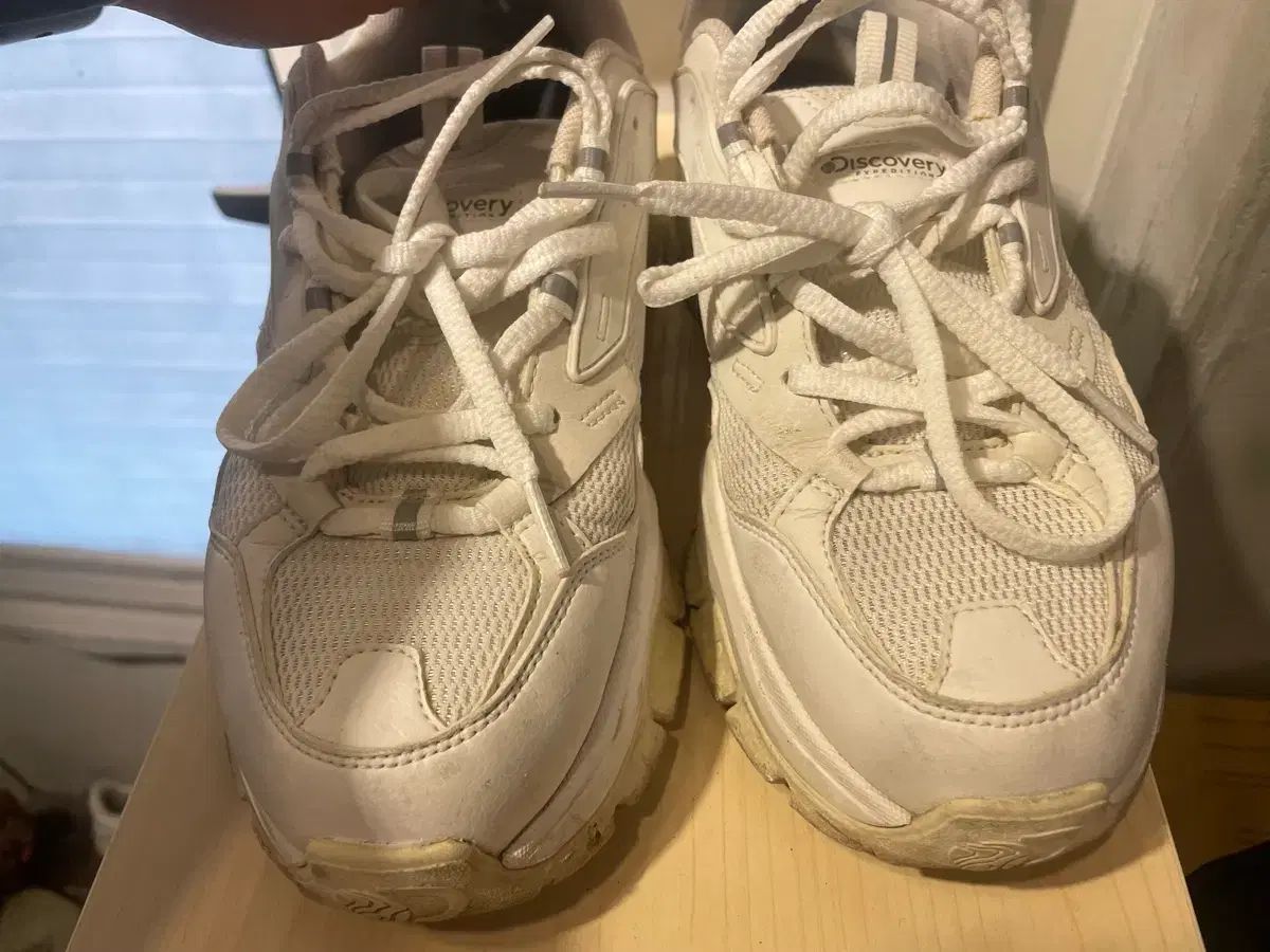 エクスペディション スニーカー アイボリー 270