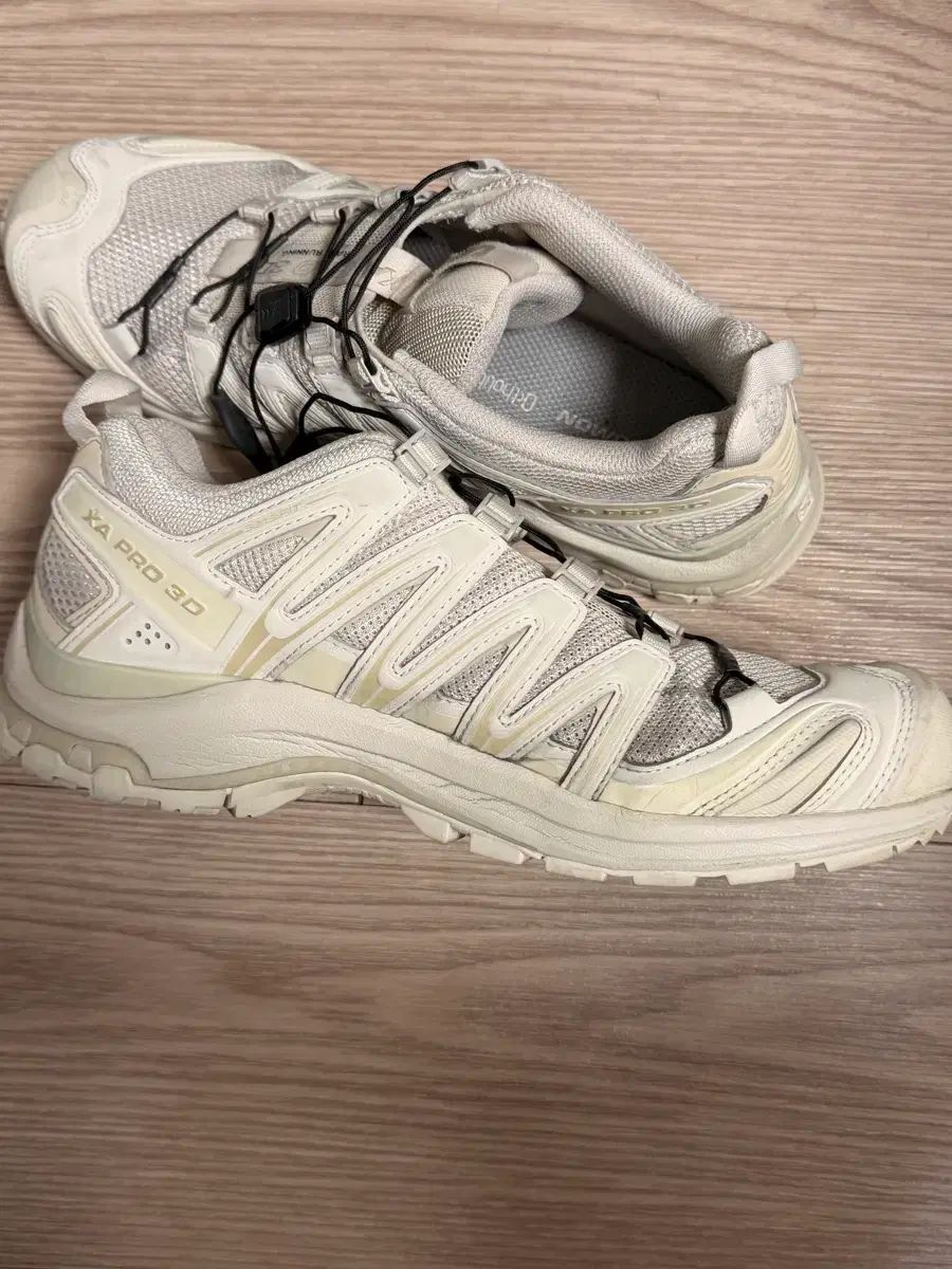 サロモン XA プロ 3 D レイニーデイ 245