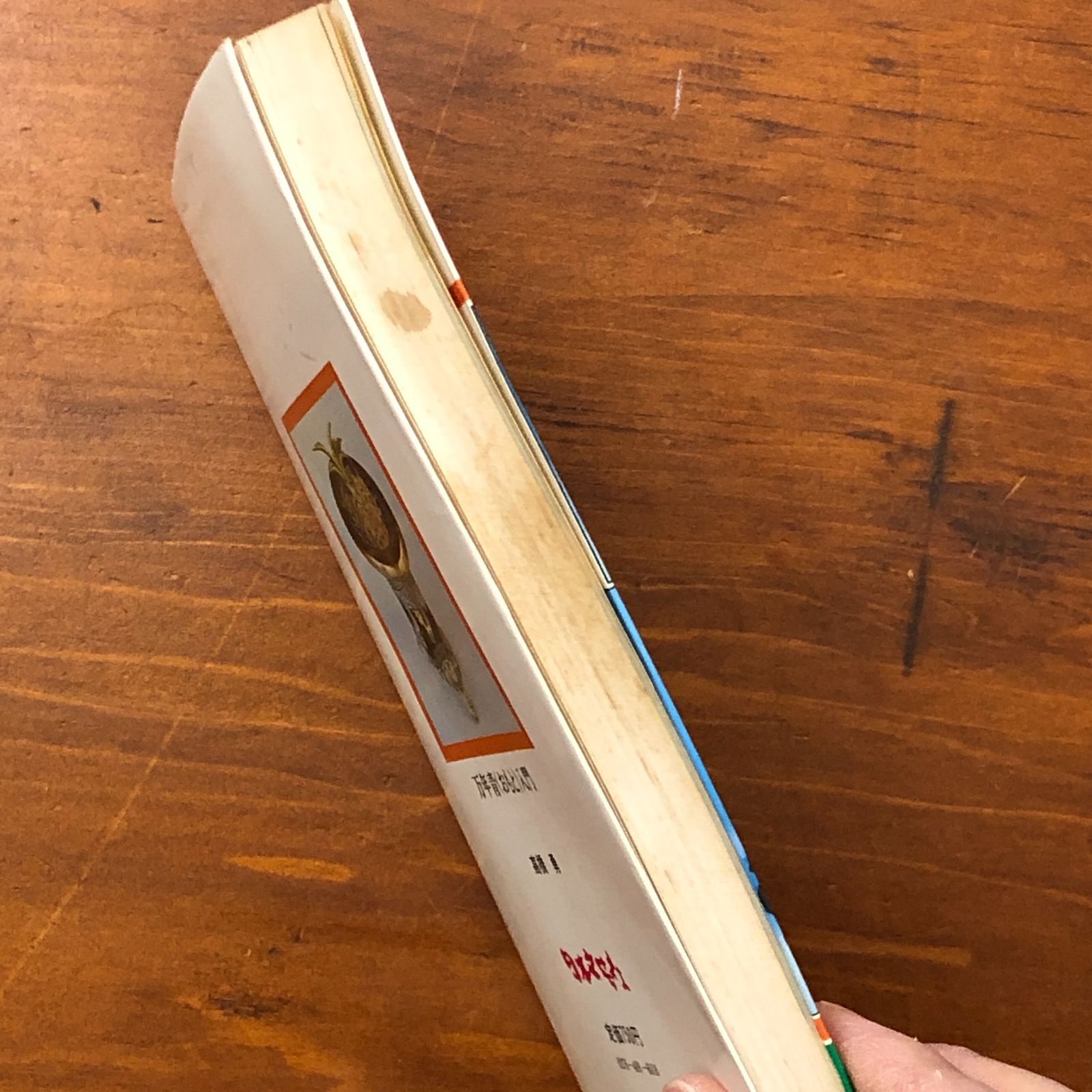 万年青（おもと）入門　高橋勇 柄と形を楽しむ 万年青(おもと)入門 はじめてつくる人のための失敗の