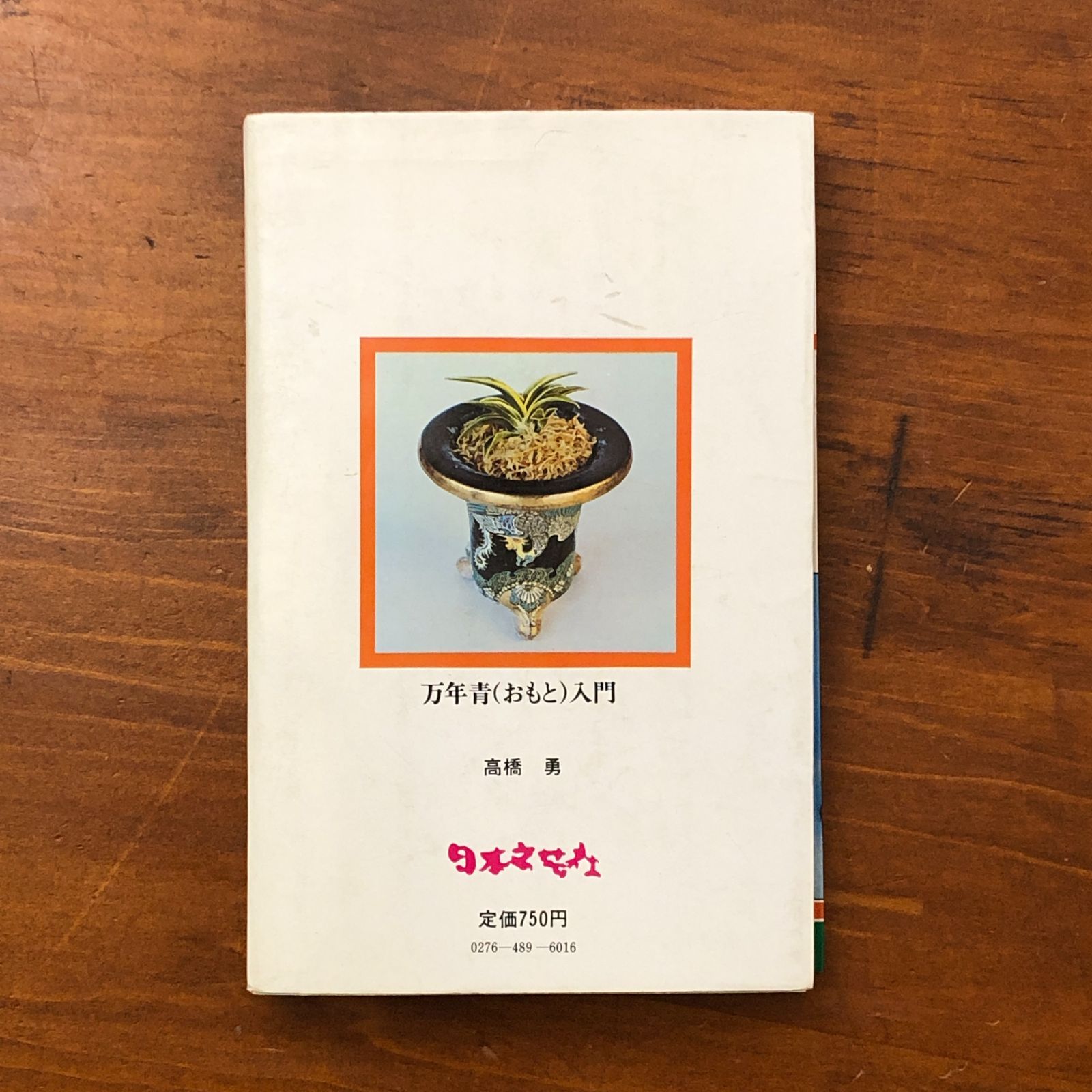 柄と形を楽しむ 万年青(おもと)入門 はじめてつくる人のための失敗の