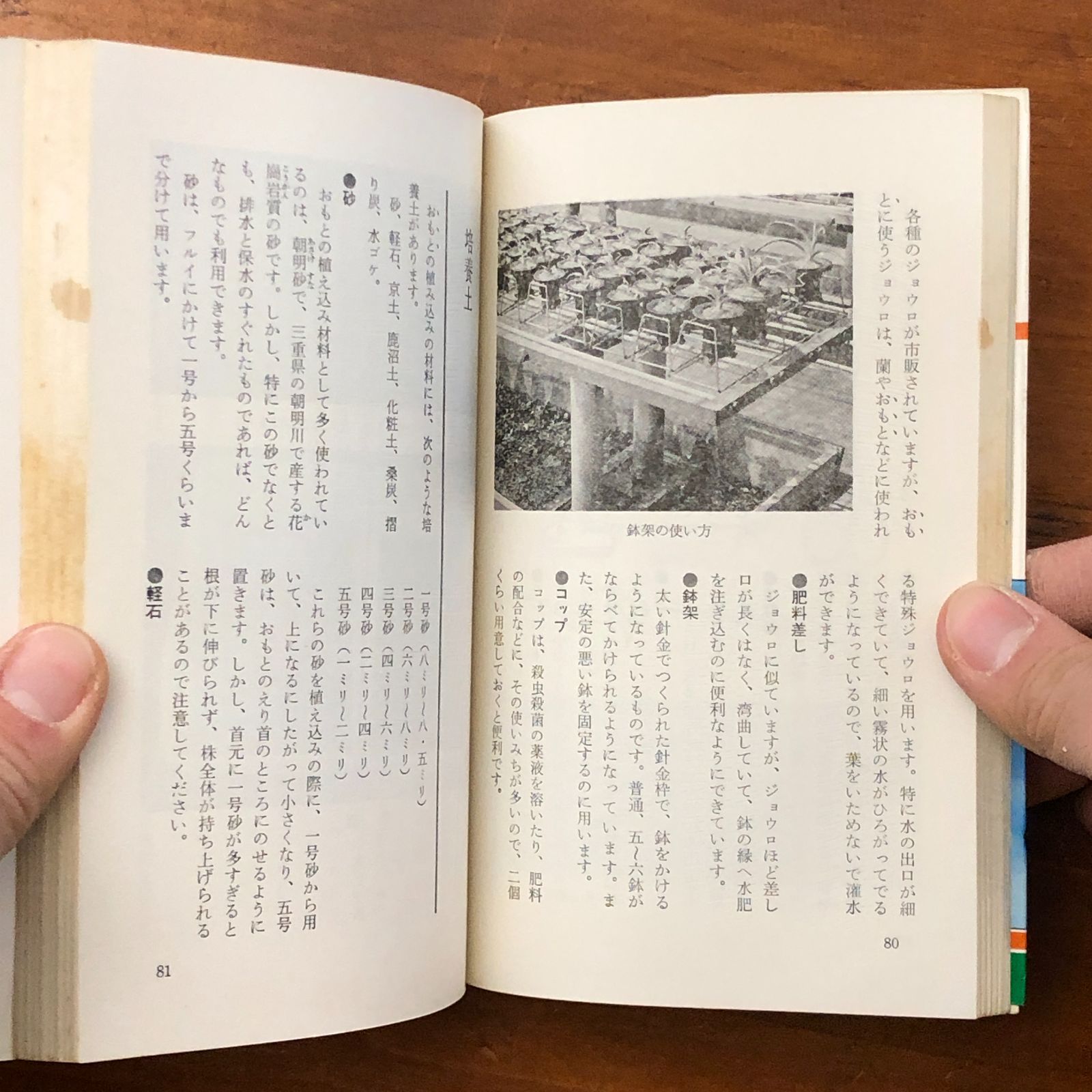 柄と形を楽しむ 万年青(おもと)入門 はじめてつくる人のための失敗の