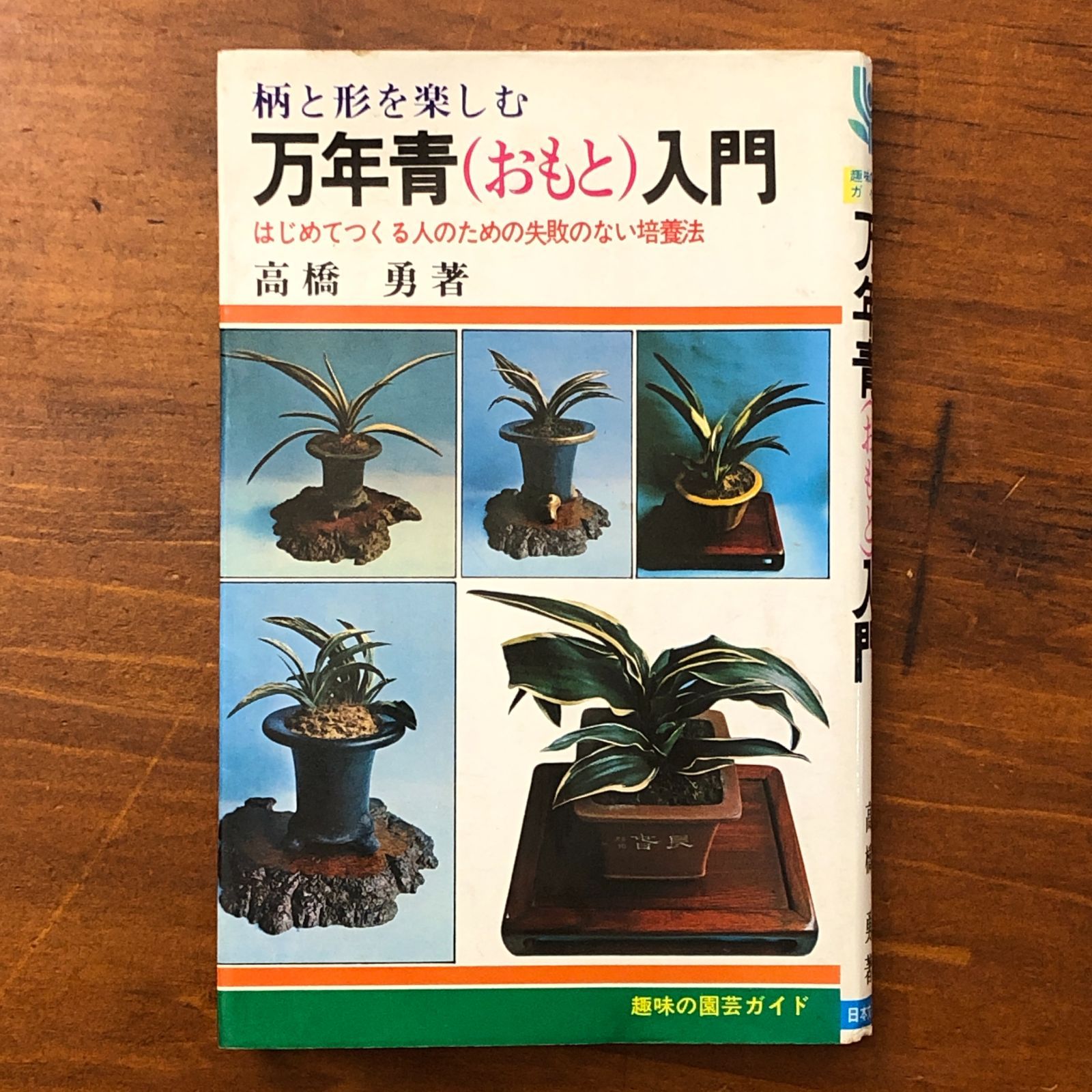 万年青（おもと）入門　高橋勇 万年青（おもと）入門 高橋勇 万年青（おもと）入門 高橋勇 万年青