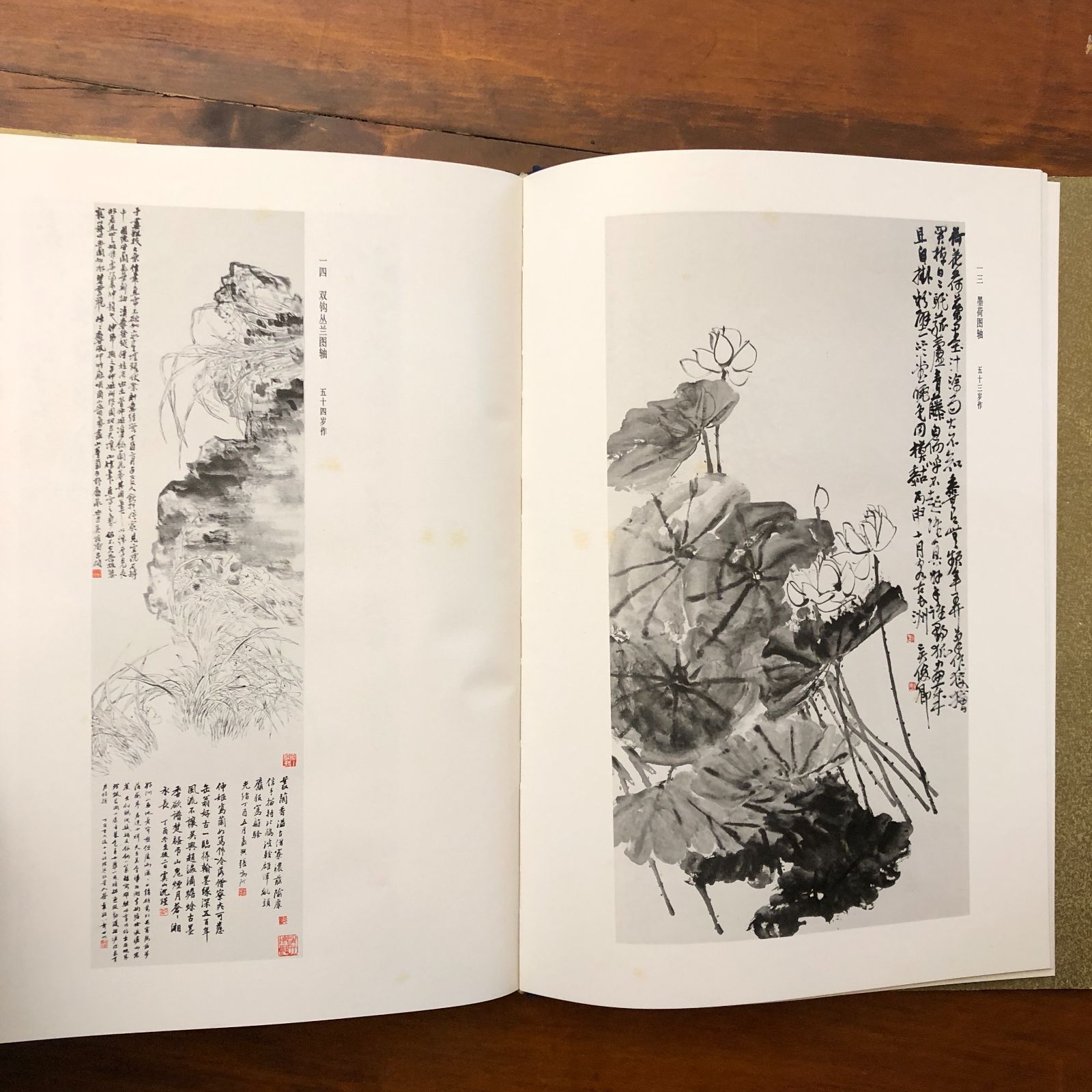 呉昌碩作品集 絵画 上海人民美?出版社 1982年 ☆呉昌碩/中国画/文人画