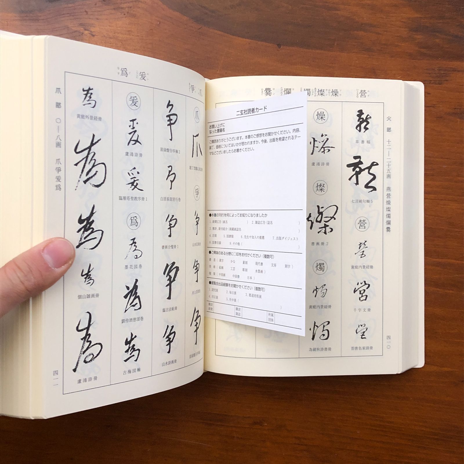 八大山人字典 栗原蘆水 二玄社 2004年10月15日初版発行 ☆中国書道