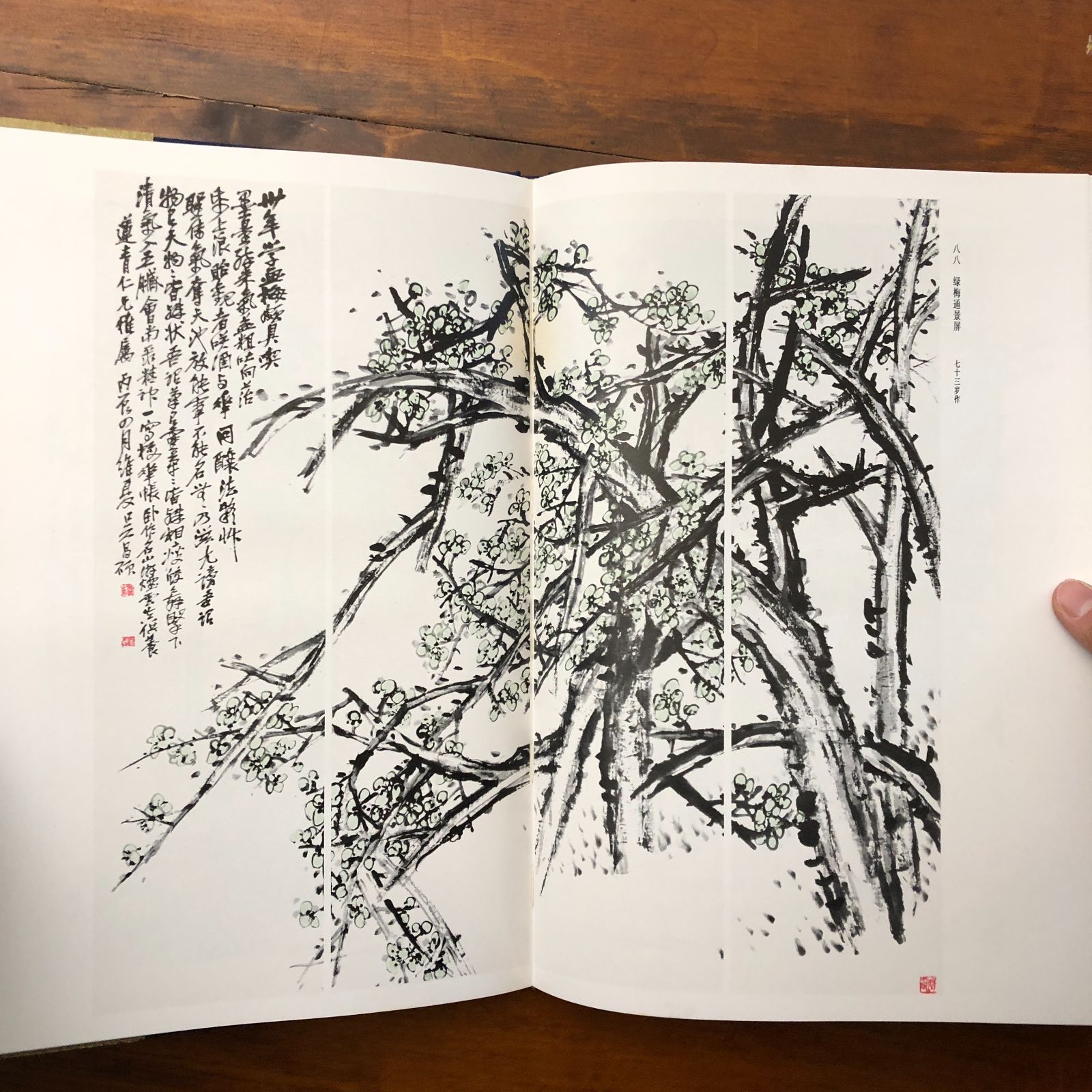 呉昌碩作品集 絵画 上海人民美?出版社 1982年 ☆呉昌碩/中国画/文人画