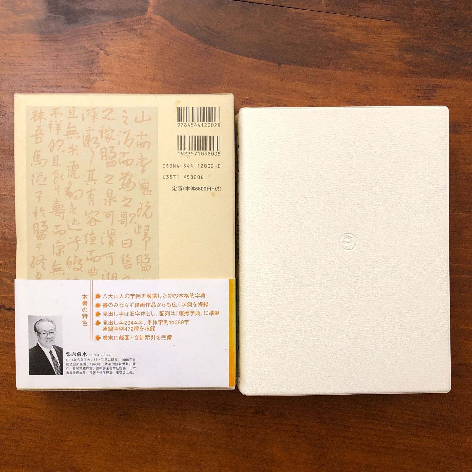 八大山人字典 栗原蘆水 二玄社 2004年10月15日初版発行 ☆中国書道