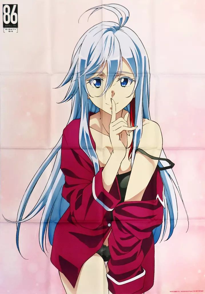 エイティシックス　描き下ろし「レーナ」イラスト B1布ポスター 中古】ポスター [単品] 描き下ろしイラストB1布ポスター ヴラディ