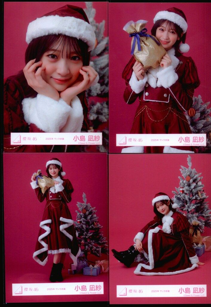 櫻坂46 13th Single BACKS LIVE!! 小島凪紗 2025年 サンタ衣装 コンプ