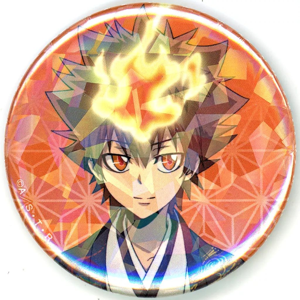 中古】バッジ・ビンズ 沢田綱吉 「家庭教師ヒットマンREBORN! 描き